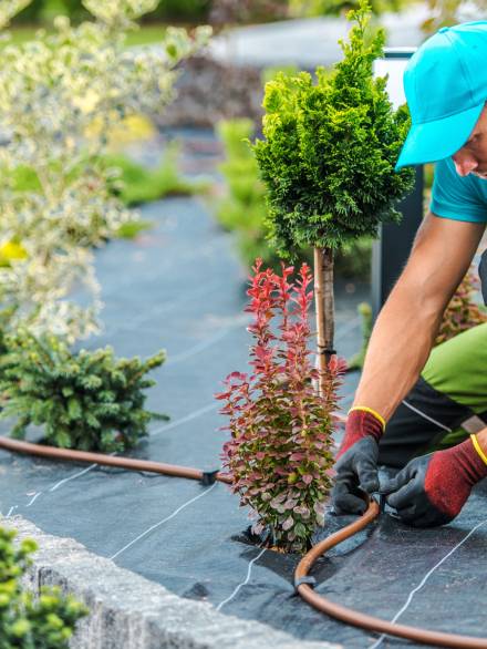 Professional Caucasian Gardener Building Plants Irrigation System in Developed Garden. Industrial Theme.