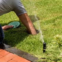 Irrigation system watering garden lawn. Landscape design. Irrigation system watering garden lawn. Landscape design. Gardening